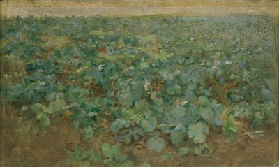 萝卜田 作者 威廉·爱德华·斯托特